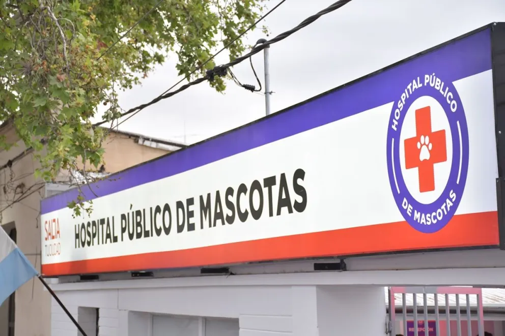 Conflictos en el Hospital Público de Mascotas: “Nunca nos avisaron si seguíamos contratados”