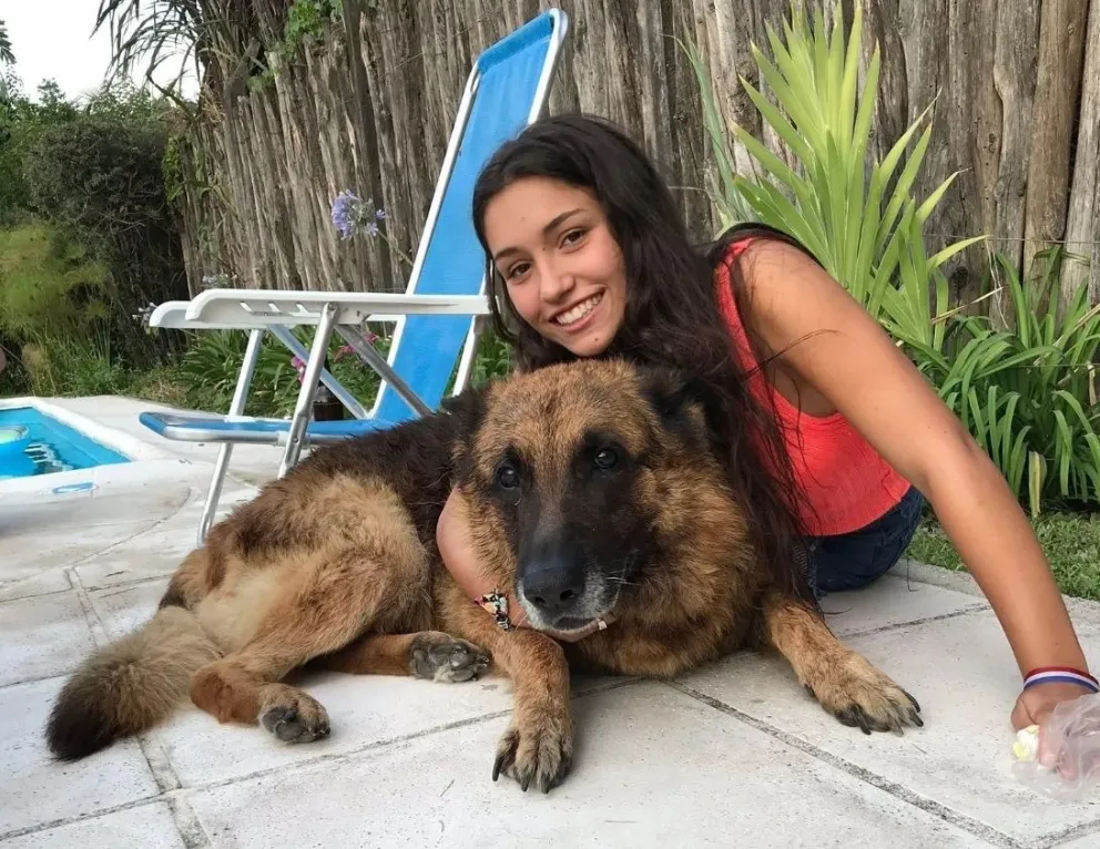 Nada puede salir mal: quiso hacer una sesión de fotos con su perro, pero todo terminó de la peor manera