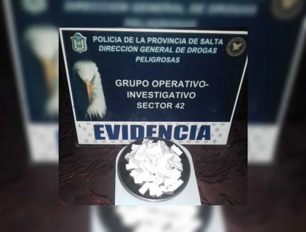 Hasta las manos: cayó la mujer que abastecía a todos de cocaína