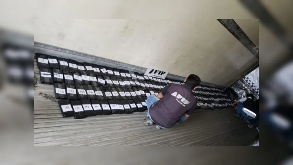 "Bananas de merca": insólito hallazgo de la policía de Drogas Peligrosas