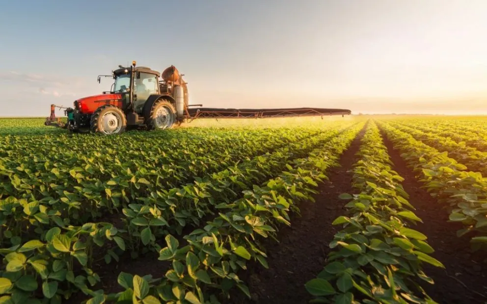 Atención: encontraron un predio urbano de agroquímicos y se revolucionó todo