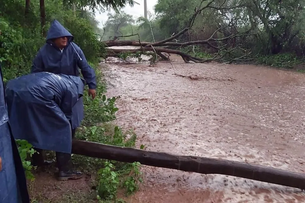 Lo que dejó el temporal en Salta: así están las cosas en las diferentes zonas