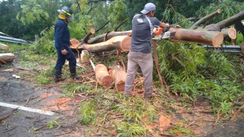 Para tener en cuenta: la Ruta Nacional 68 se encuentra cortada por precipitaciones