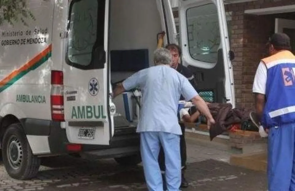 De no creer: un niño fue atropellado por un caballo y ahora lucha por su vida