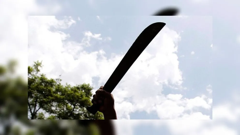 Justicia por mano propia: asesinaron a un ladrón de un machetazo