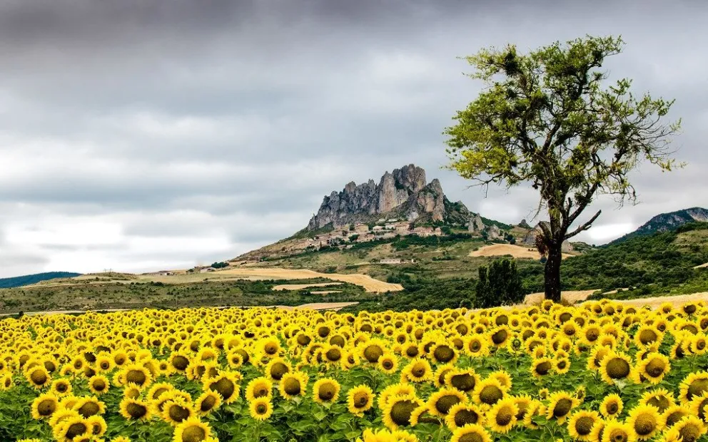 Domingo en nuestra querida Salta: así estará el clima hoy