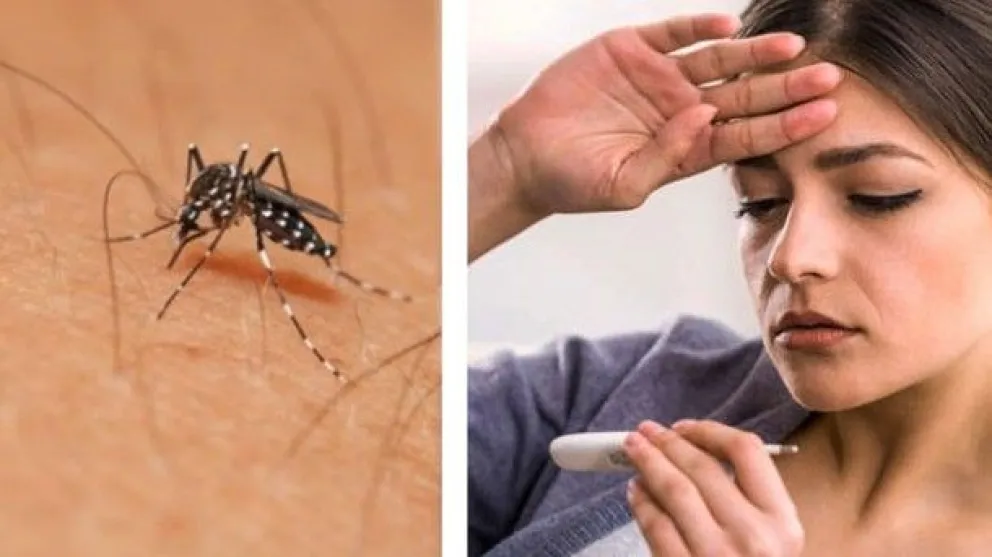 Los expertos aseguran que hay una mutación del virus Zika