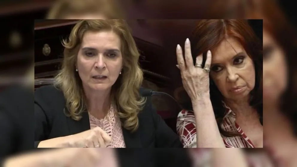 VIDEO. Tensión: Cristina Kirchner se cruzó con la senadora tucumana, Silvia Elías de Pérez