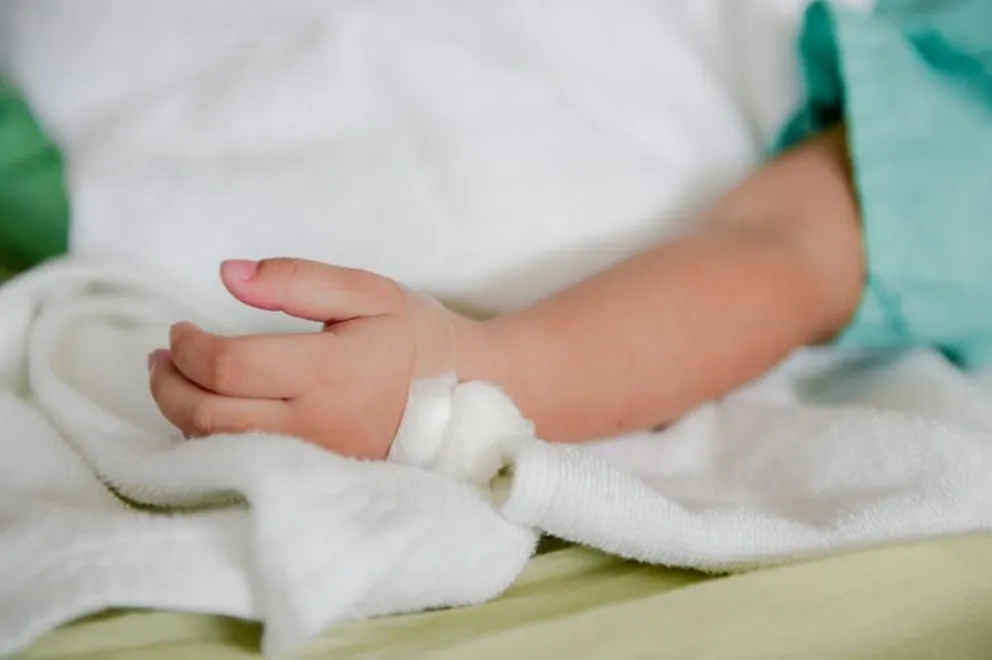 Desgracia: un bebé murió por comer frutos de un ligustro