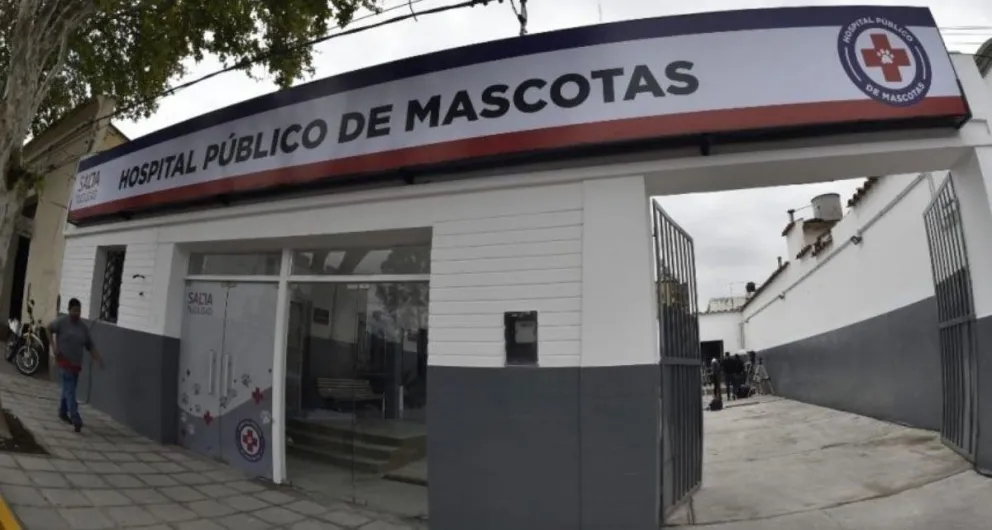Tensión en el Hospital de Mascotas: ex trabajadores se encadenaron