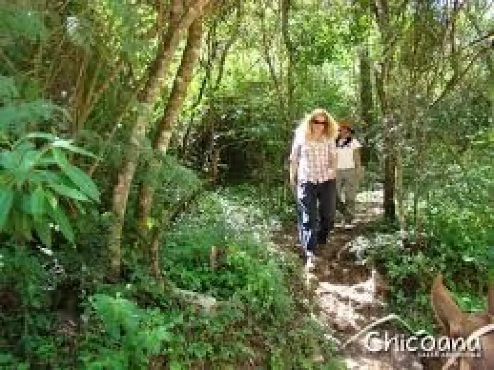 Todas las actividades que podés hacer este domingo: no seas fiaca y salí de casa