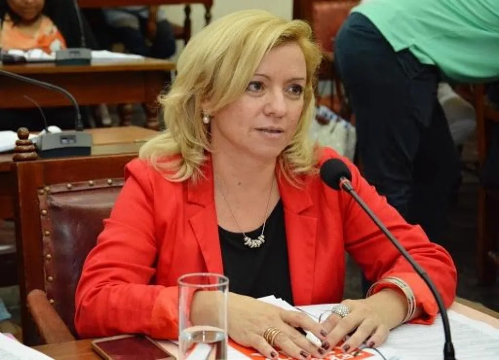 Frida Fonseca: "Acompaño y apoyo la idea de la pirotecnia sonora cero"