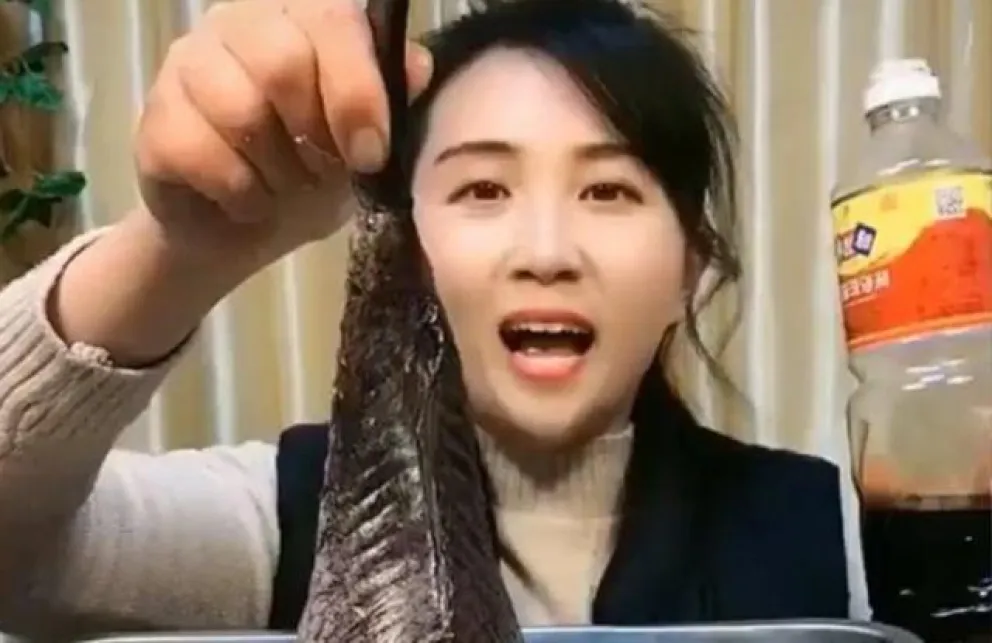 El polémico video que muestra a una mujer cocinando un tiburón vivo: “Por eso estamos como estamos”