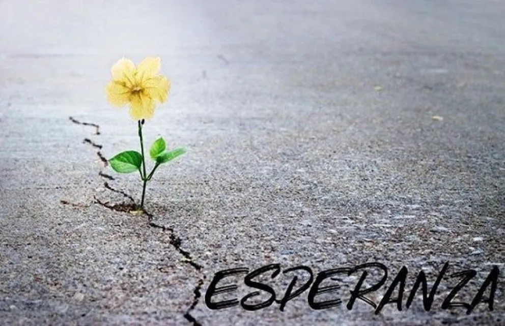 ¡No te lo pierdas! En medio del caos por el coronavirus salió un poema viral llamado "Esperanza"