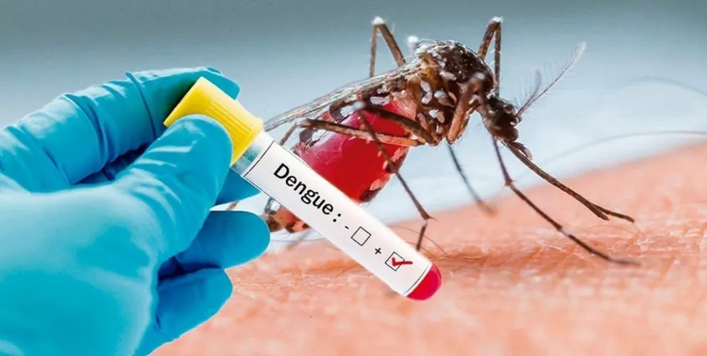 Preocupante: hay un brote de dengue y Salta está bajo amenaza