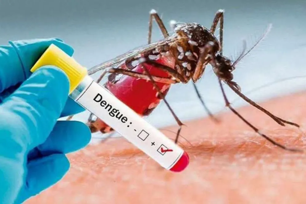 Salta: la cifra de casos de dengue y todas las medidas a tener en cuenta para prevenirlo