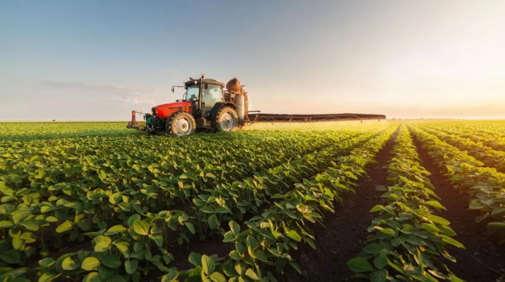 La agroindustria, un sector clave para acumular reservas internacionales