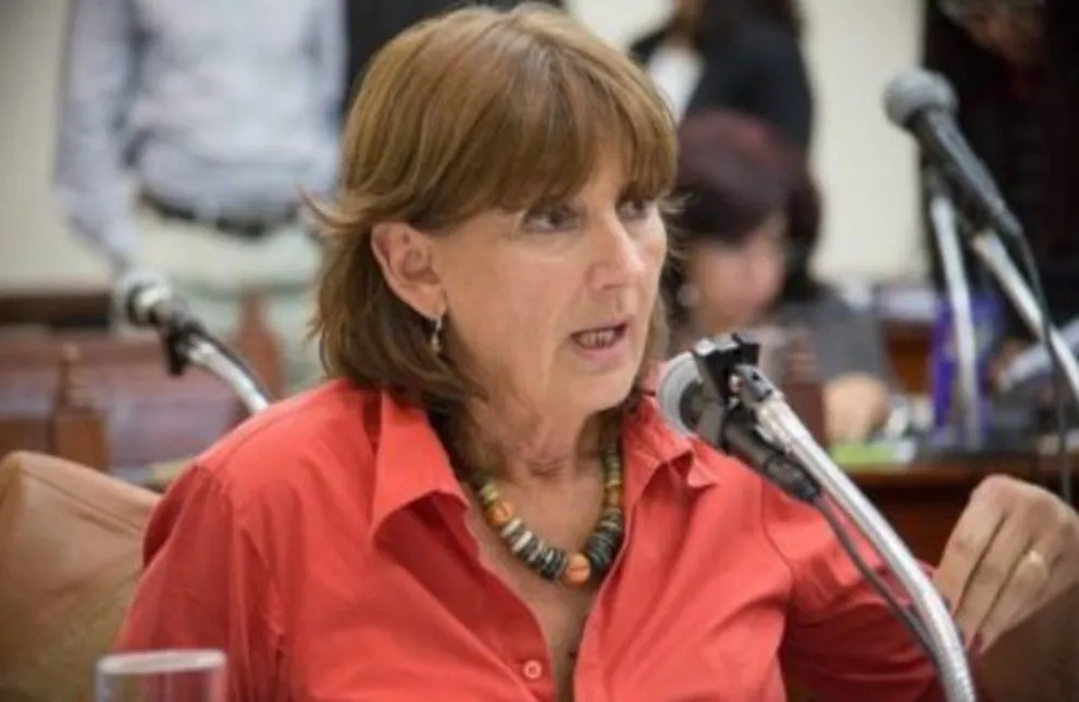 Coronavirus: Virgina Cornejo cuenta dónde irá los 100.000 pesos que otorgó la Cámara de Diputados para ayuda