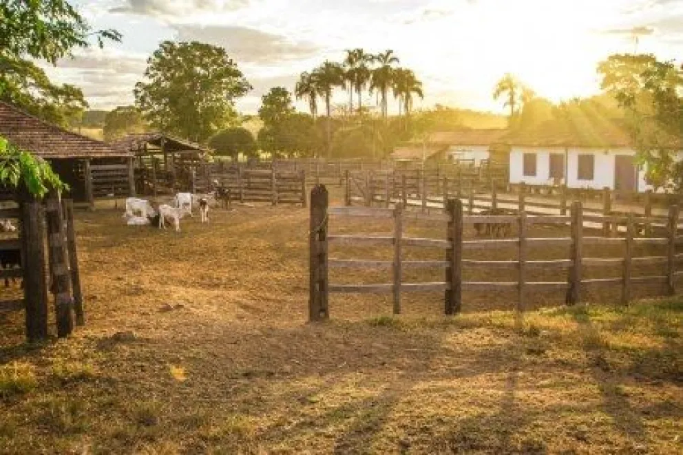 Robo en un corral