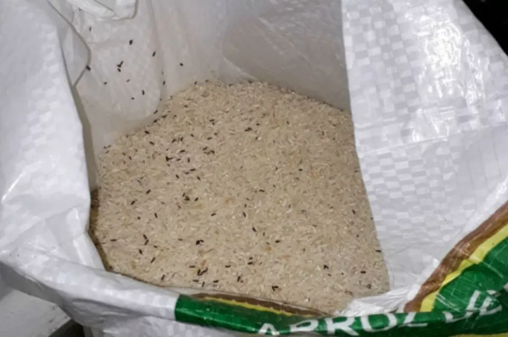VIDEO. La respuesta de un intendente luego de entregar arroz con gorgojos: “Hace bien para…”