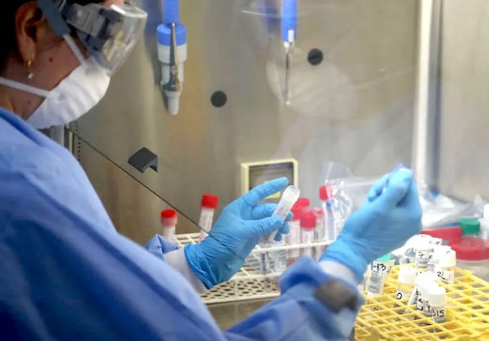 Coronavirus en Salta: 191 nuevos casos confirmados en las últimas 24 horas
