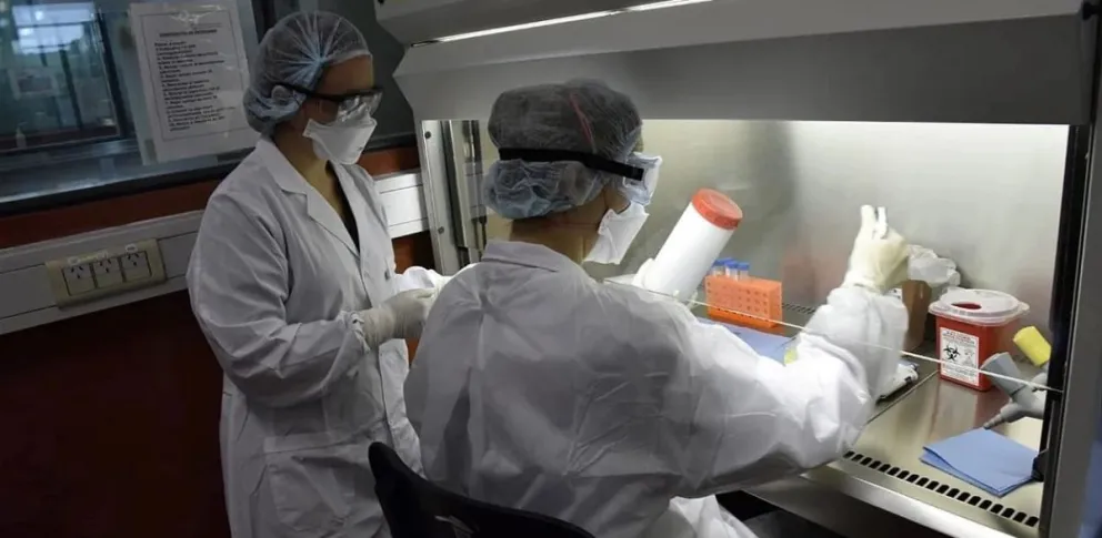 Coronavirus en Salta | Informe del 15 de abril: hay casos en estudio