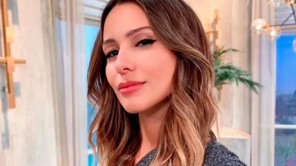 Pampita Ardohain. Fuente: (Instagram)