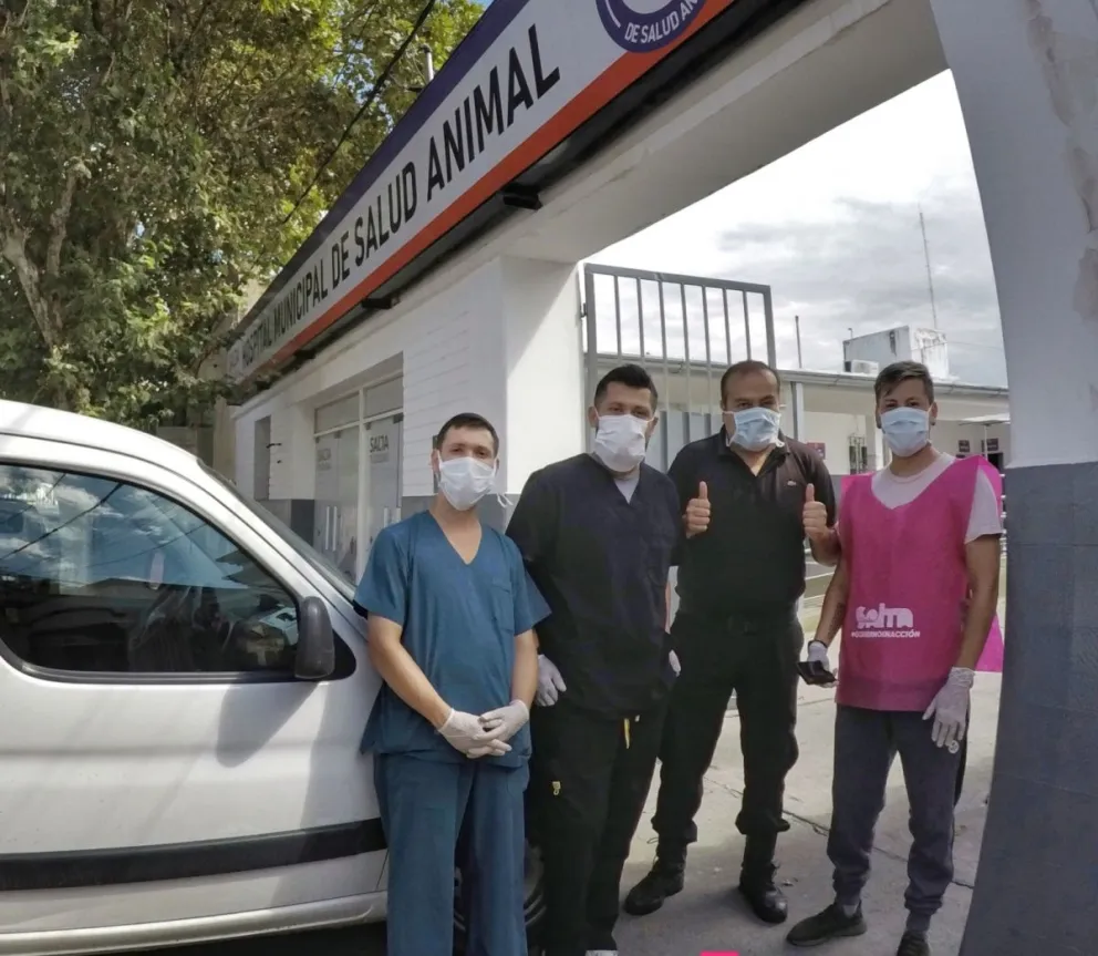 Cuarentena administrada: ¡Reabre el Hospital Municipal de Salud Animal! ¿Desde cuándo?