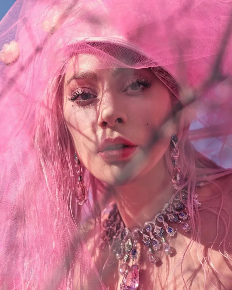 Lady Gaga. Fuente: Instagram  