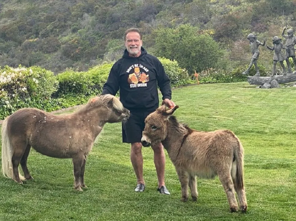 Arnold Schwarzenegger (fuente: Instagram)