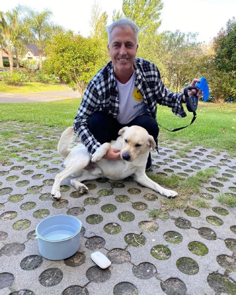 Marley. Fuente: (Instagram)