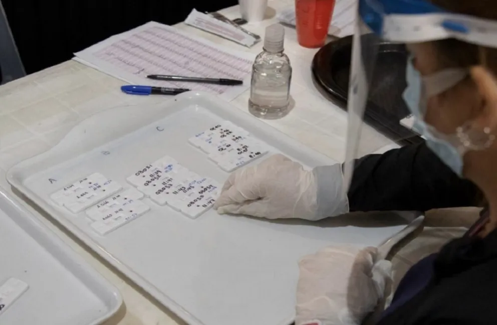 COVID-19: ¿Cuántos pacientes ya recibieron el alta en Argentina?