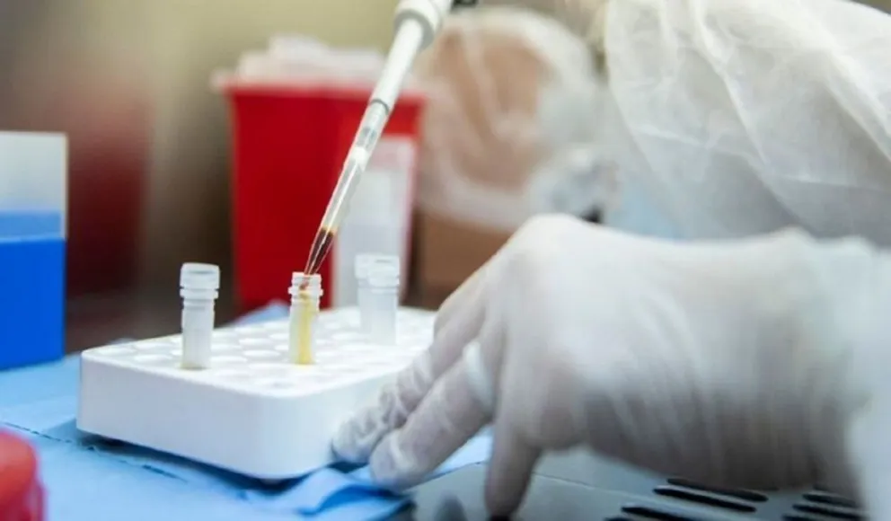 Coronavirus en Salta: informe del 5 de mayo