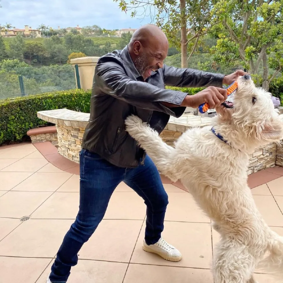 Mike Tyson Fuente: (Instagram)