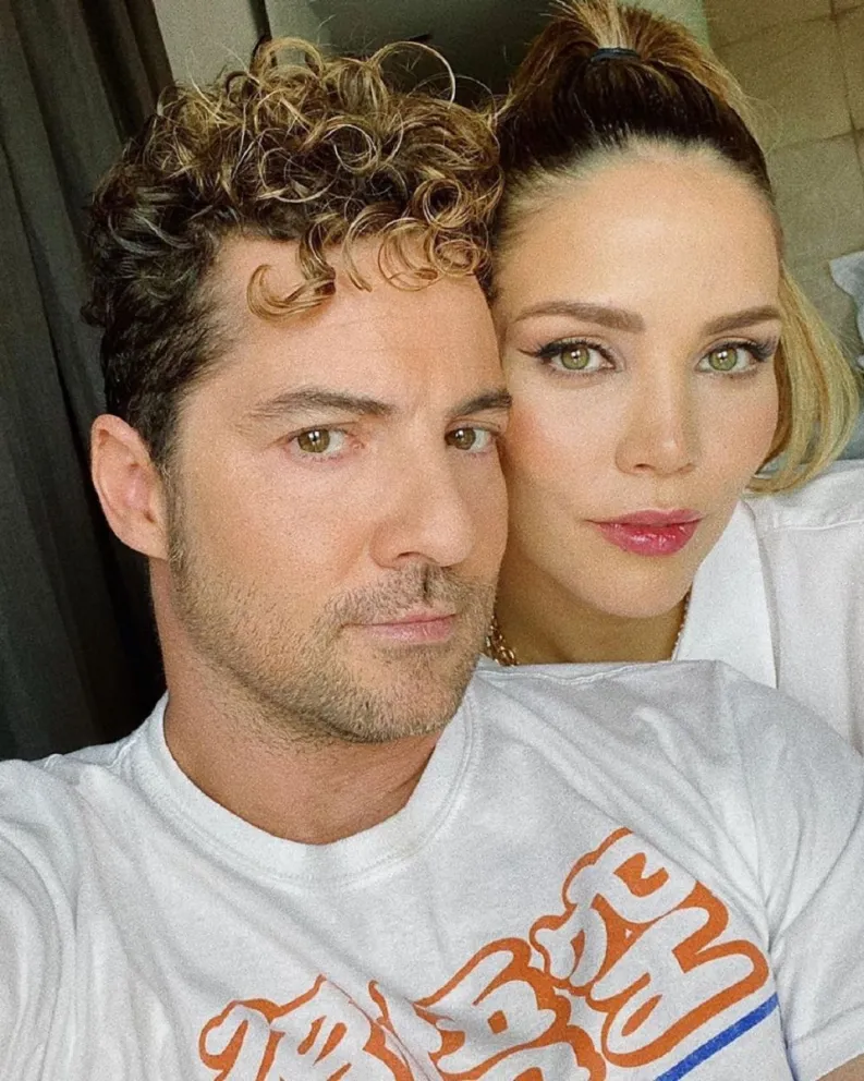 David Bisbal. Fuente: Instagram