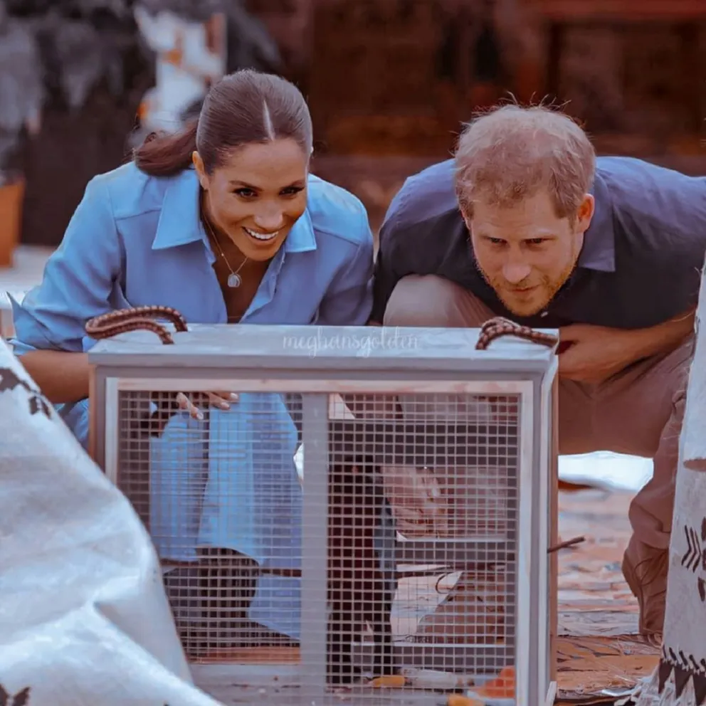 Meghan Markle y Príncipe Harry. Fuente (Instagram)