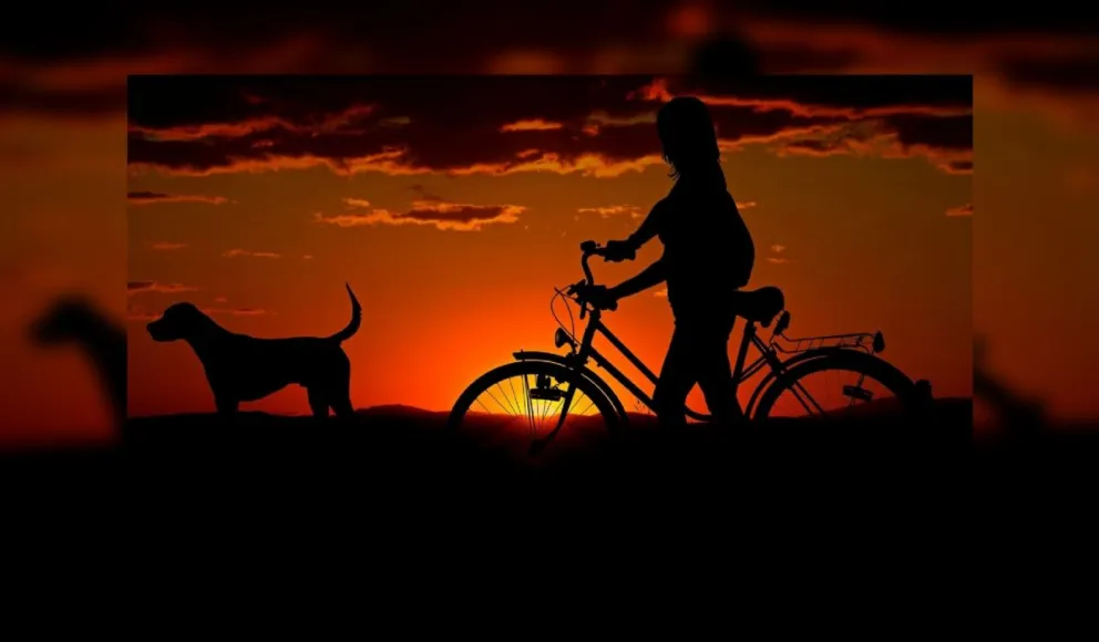 Perro. Fuente: twitter