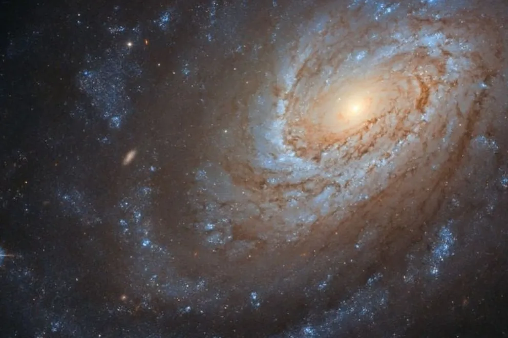 Espiral de estrellas de una galaxia: Fuente: Instagram. 
