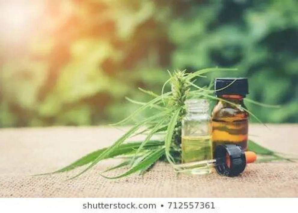 Cannabis,jpg