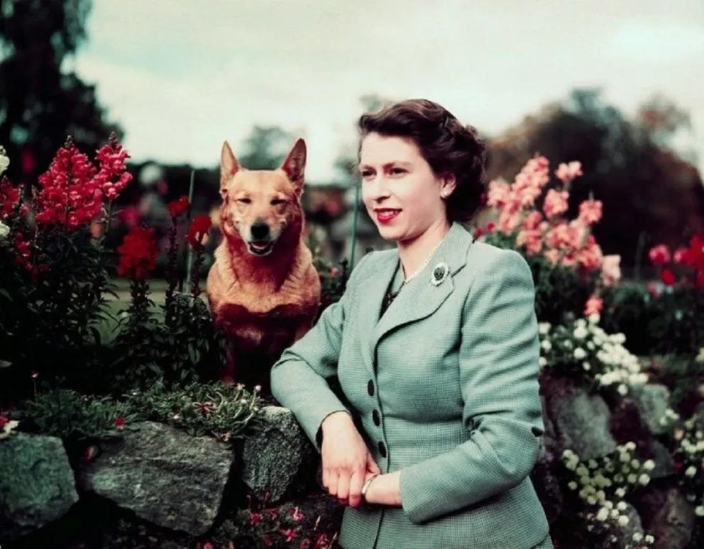 Reina Isabel II. Fuente (Instagram)