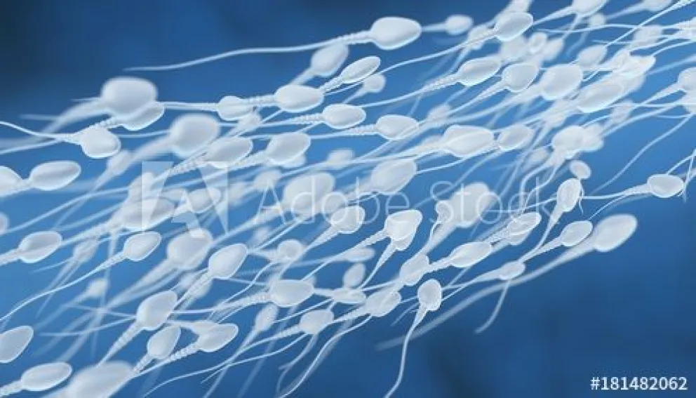Semen