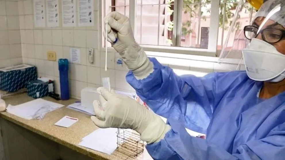 Coronavirus en Salta: Twitter