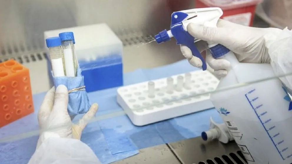 Coronavirus. Fuente: Twitter