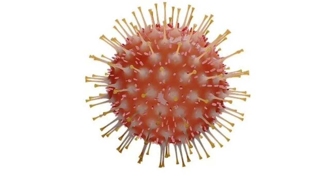 Coronavirus colorado