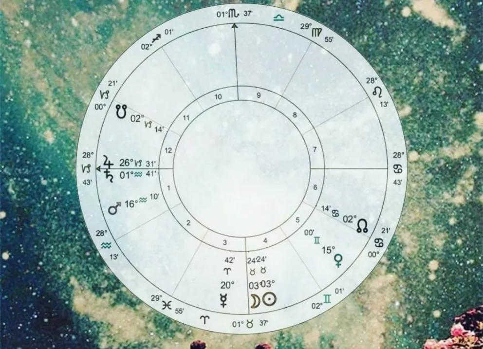 Signos del zodiaco. Fuente: (Instagram)