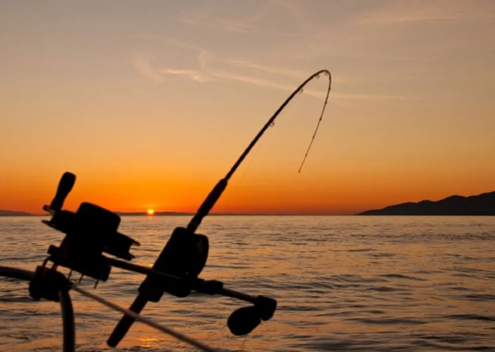 Pesca. Imagen ilustrativa