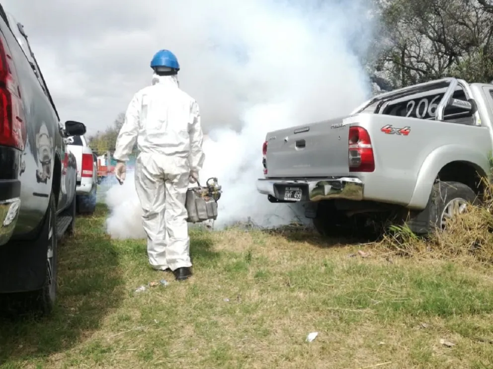 Detectan una mutación inédita en mosquitos del dengue que complica el control en el norte argentino