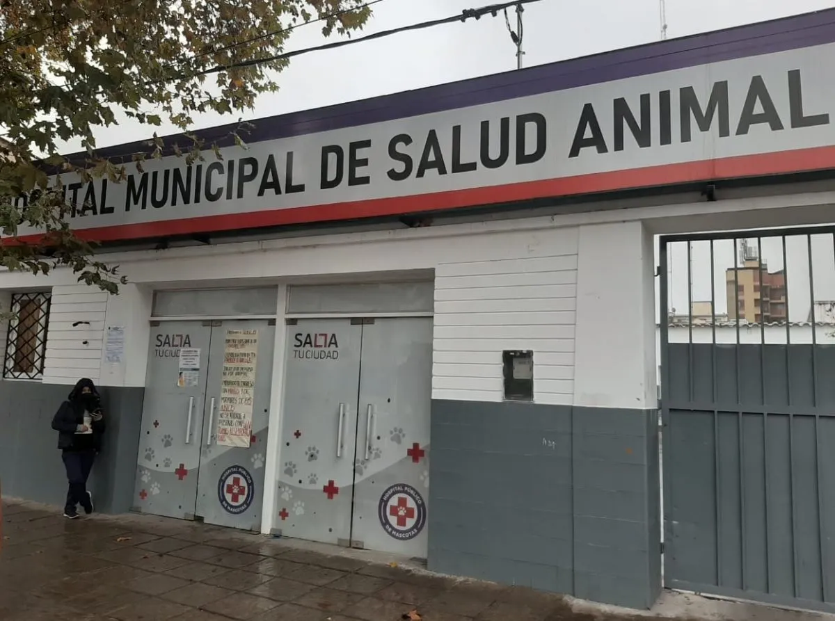 Servicios municipales 