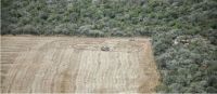 Por incumplir el convenio de reforestación en Tartagal, deberá pagar una cifra millonaria