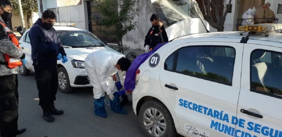 Protocolo activado en Orán 